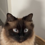 winnie