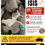 Isis