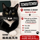 Tchoutchou