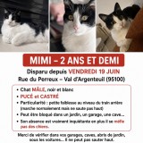 mimi