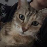 nina