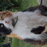 Gwendoline dit minou ou minette