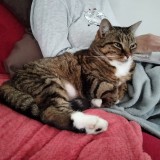 Poupette