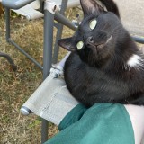 Zak