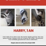 harry