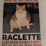 Raclette