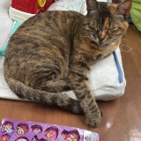 naya