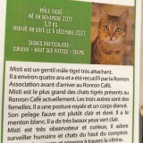 Misti
