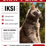 iksi