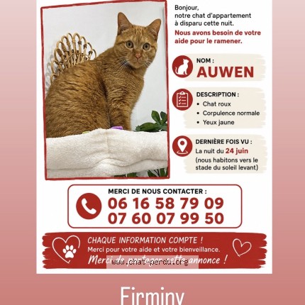 Photo 1/1 auwen Chat perdu à Firminy