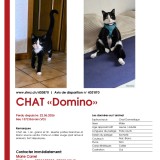 Domino