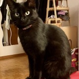 Onyx