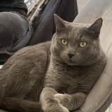 Salem