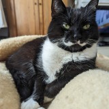 Mimi