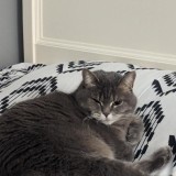 Julieta