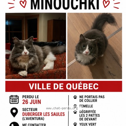Photo 1/1 minouski Chat perdu à Quebec