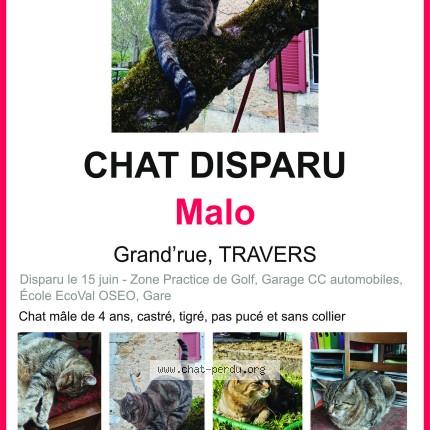 Photo 1/1 Malo Chat perdu à Travers