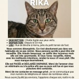 Rika