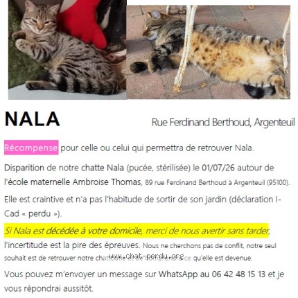 Photo 1/1 Nala Chat perdu à Argenteuil