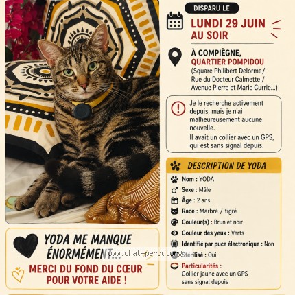 Photo de chat perdu à Compiegne