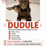 Dudule