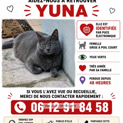 Photo 1/1 yuna Chat perdu à Viry Chatillon