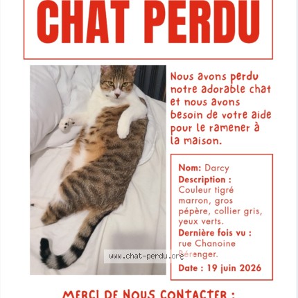 Photo de chat perdu à Avranches