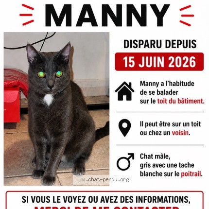 Photo 3/3 Manny Chat perdu à Toulon