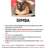 Simba