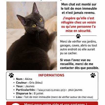 Photo de chat perdu à Meru