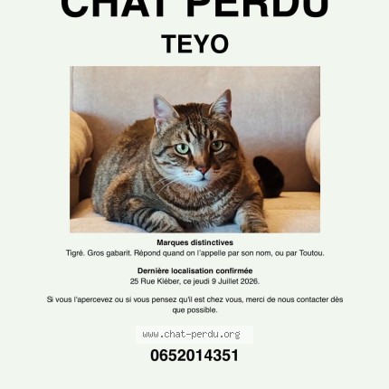 Photo 1/1 Teyo Chat perdu à Saint Ouen Sur Seine