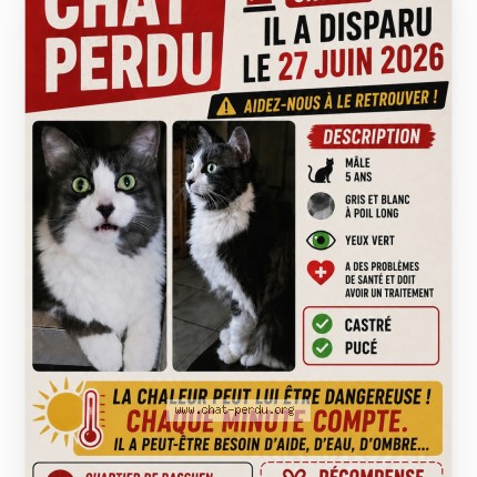 Photo de chat perdu à Istres