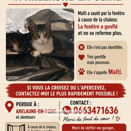 Photo 1/1 Maiti Chat perdu à Arelaune En Seine