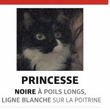 Princesse