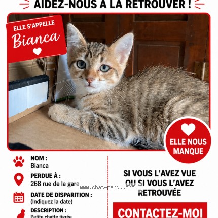 Photo 1/1 bianca Chat perdu à Buellas