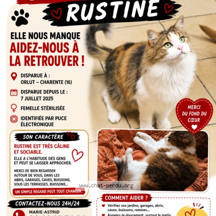 Photo de chat perdu à Val De Cognac Orlut