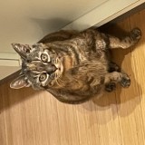 lucy