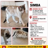 Simba