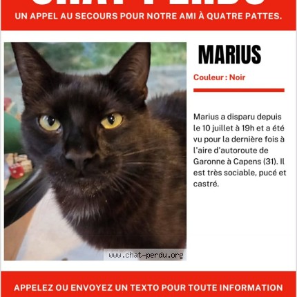 Photo de chat perdu à Capens