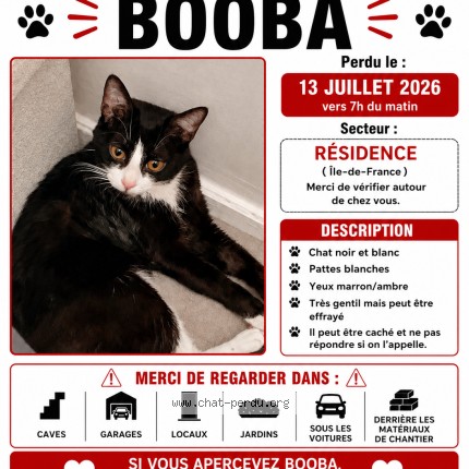 Photo de chat perdu à Champigny Sur Marne