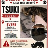 tsouki