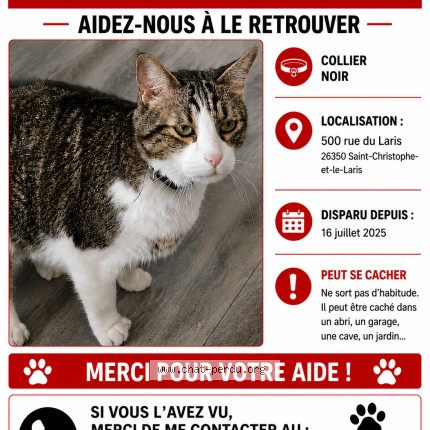 Photo 1/1 oasis Chat perdu à Saint Christophe Et Le Laris