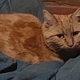 Roucky