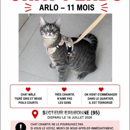 Photo 1/1 arlo Chat perdu à Eaubonne