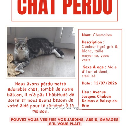 Photo de chat perdu à Roissy En Brie