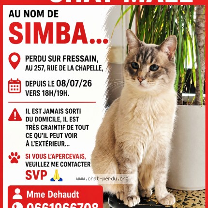 Photo de chat perdu à Fressain