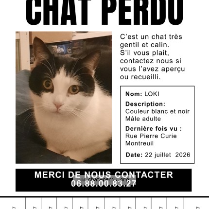 Photo 1/5 Loki Chat perdu à Montreuil