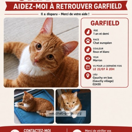 Photo de chat perdu à Gauchy