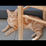 billy
