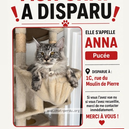 Photo de chat perdu à Bonniere Sur Seine